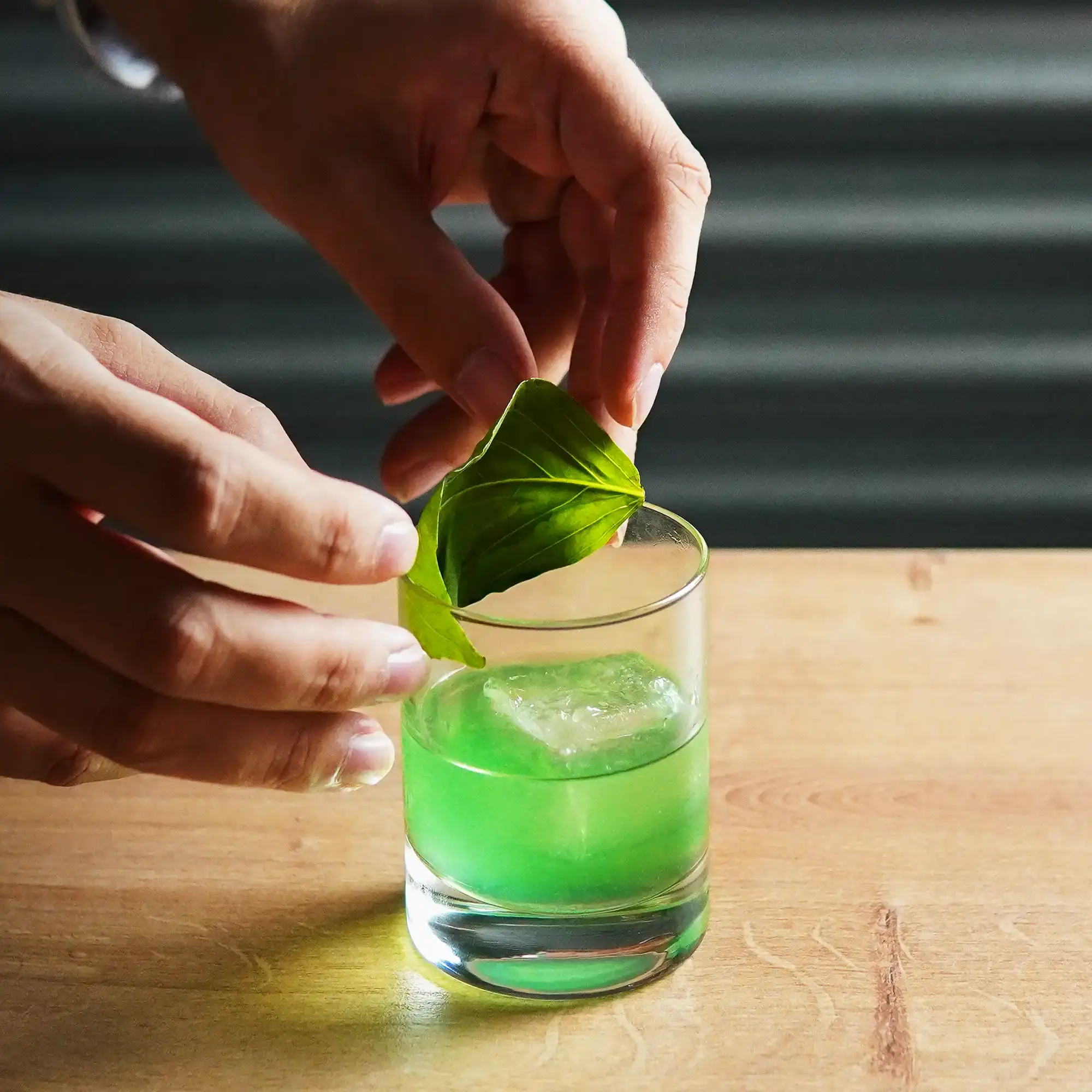 The image shows a short, wide cocktail glass placed on a light wooden surface. The drink inside has a vibrant green color and appears slightly transparent. A large ice cube floats in the liquid, adding a cooling, refreshing effect. Two hands are visible in the image, carefully placing a single large, fresh green basil leaf as a garnish along the rim of the glass. The background is dark gray with a subtle texture, drawing attention to the glass and the hands in the foreground.