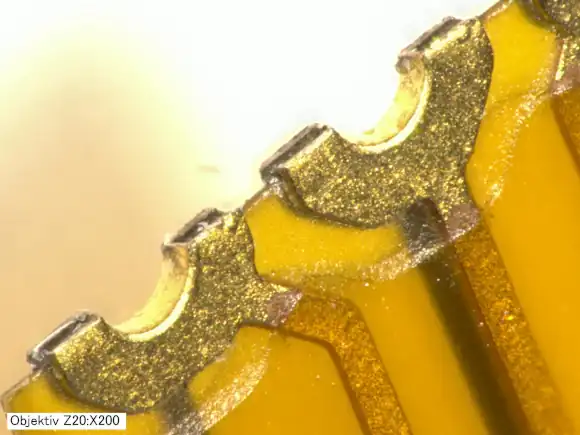 Macro image of the half-opens